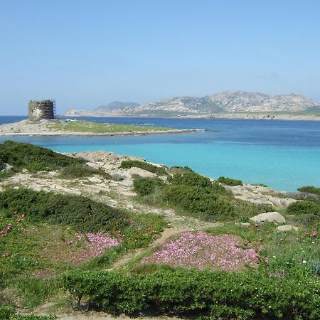 Sardinia Re - Casa Ibiscus Villa Stintino Exterior photo