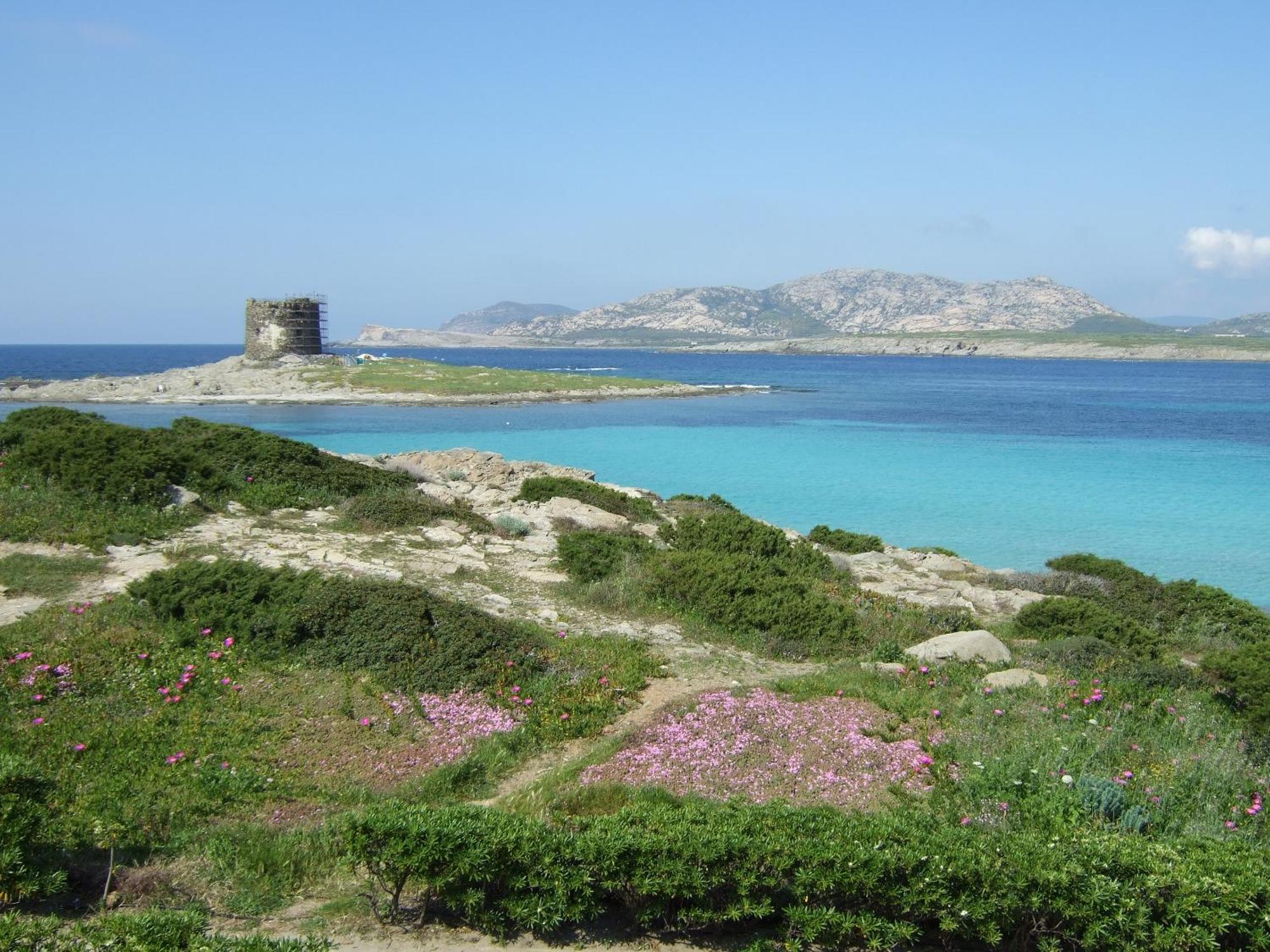 Sardinia Re - Casa Ibiscus Villa Stintino Exterior photo